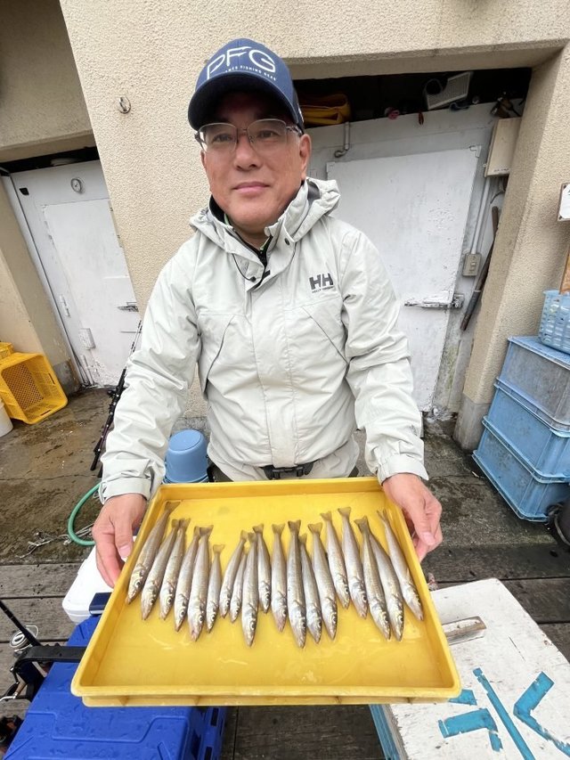 シロギス