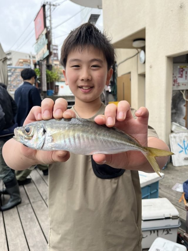 アジ(マアジ)