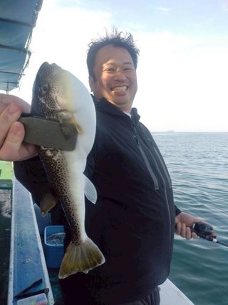 ショウサイフグ