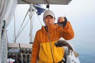 ショウサイフグ