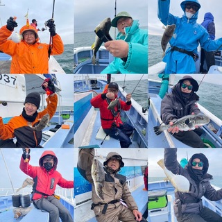 ショウサイフグ