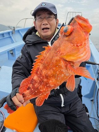 ウッカリカサゴ