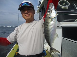 アジ