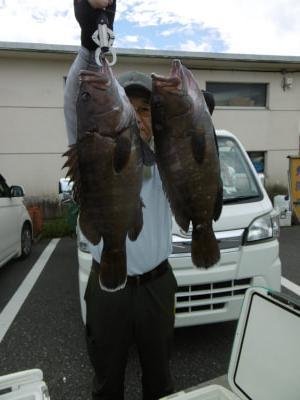 ハタ