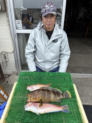 アマダイ