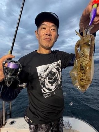 アオリイカ