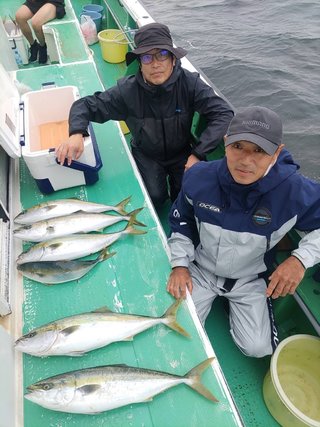 ワラサ
