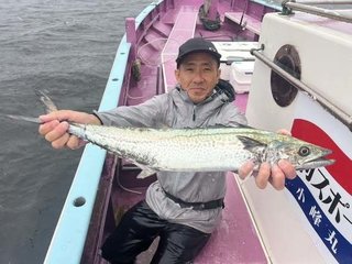 サワラ