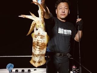 アオリイカ