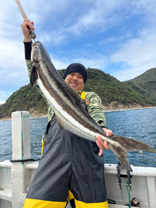 スギ