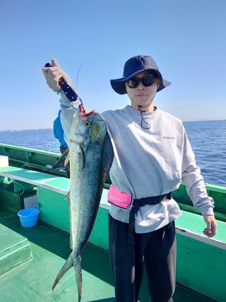 シイラ