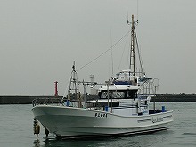 午前 仲乗りさん付き シマアジ釣りプラン 予約プラン詳細 海釣り 釣り船予約サイト 釣割