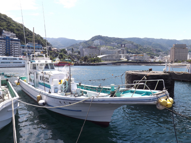 喜久丸 公式予約 釣割 最安値保証 最新船釣りプランや評判 釣果など 喜久丸 静岡県 の詳しい釣り船情報を掲載しています