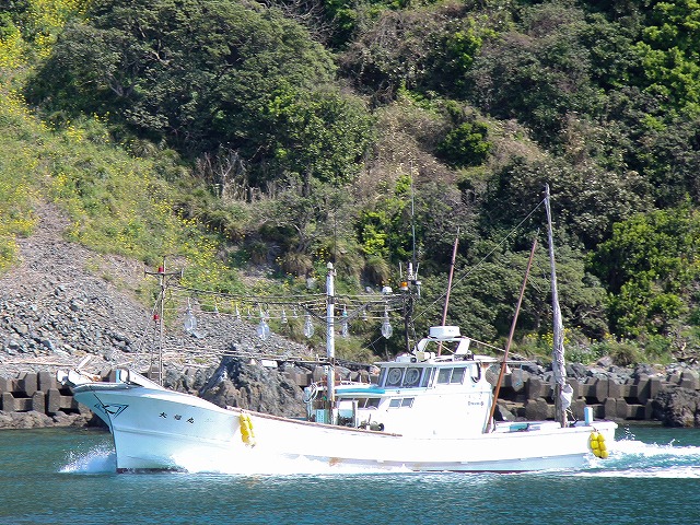 大福丸 地島 福岡 公式船釣り予約 24時間受付 特別割引 ポイント還元 船釣り予約 キャスティング船釣り予約