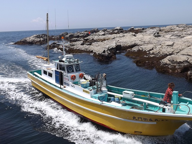 短時間で釣りが楽しめる お手軽 半日船特集 海釣り 釣り船予約サイト キャスティング釣り船予約