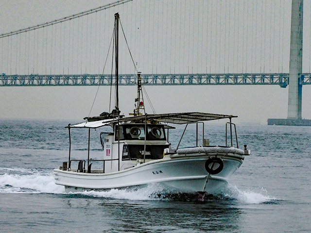 釣り船いまい(明石市/明石港)