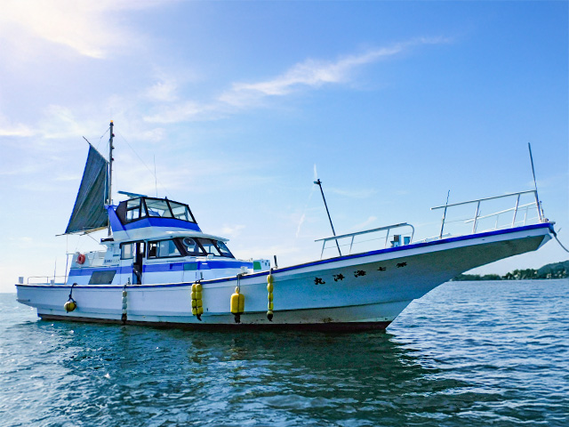 佐島海楽園(横須賀市/佐島港)