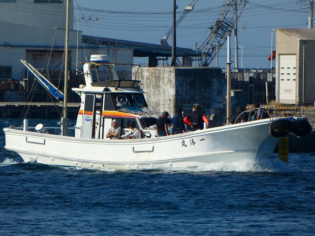 一休丸 公式予約 釣割 最安値保証 神奈川県三浦市城ヶ島