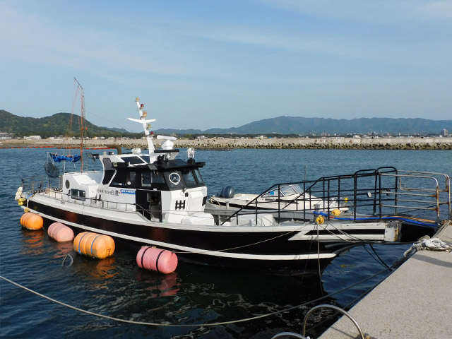 白鷹(福津市/津屋崎漁港)