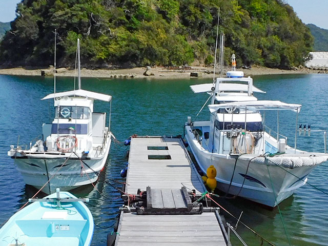 悠優丸(南あわじ市/福良港)