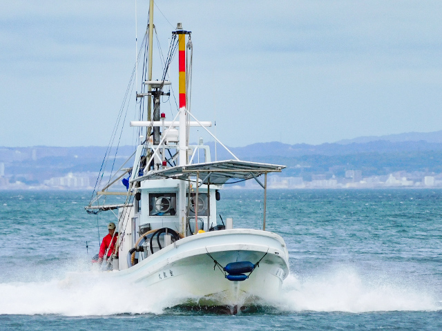 かな丸(淡路市/育波漁港)