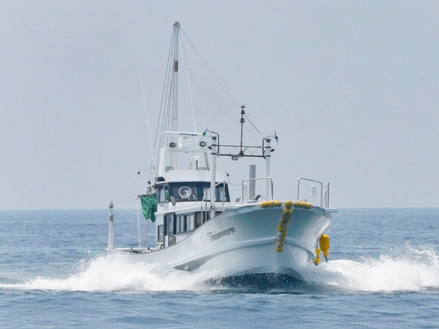 Taninomaru(御坊市/塩屋漁港)