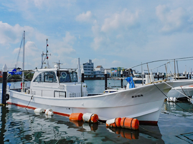 あかね丸(和歌山市/市堀川沿い)