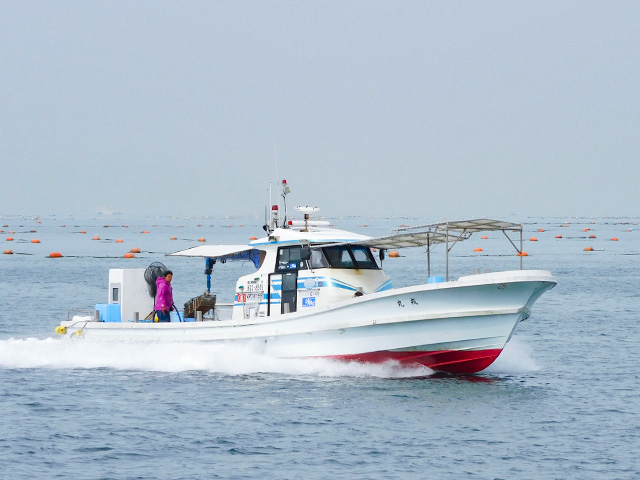 エビス丸(淡路市/育波漁港)