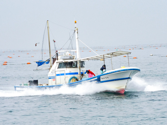 ミツヤ丸(淡路市/育波漁港)